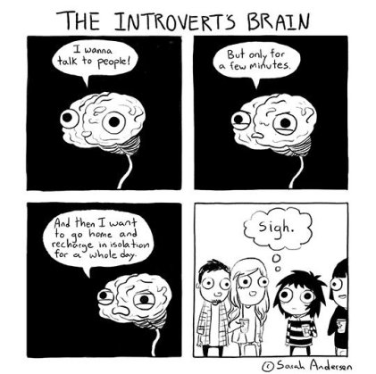 Image result for introvert comics